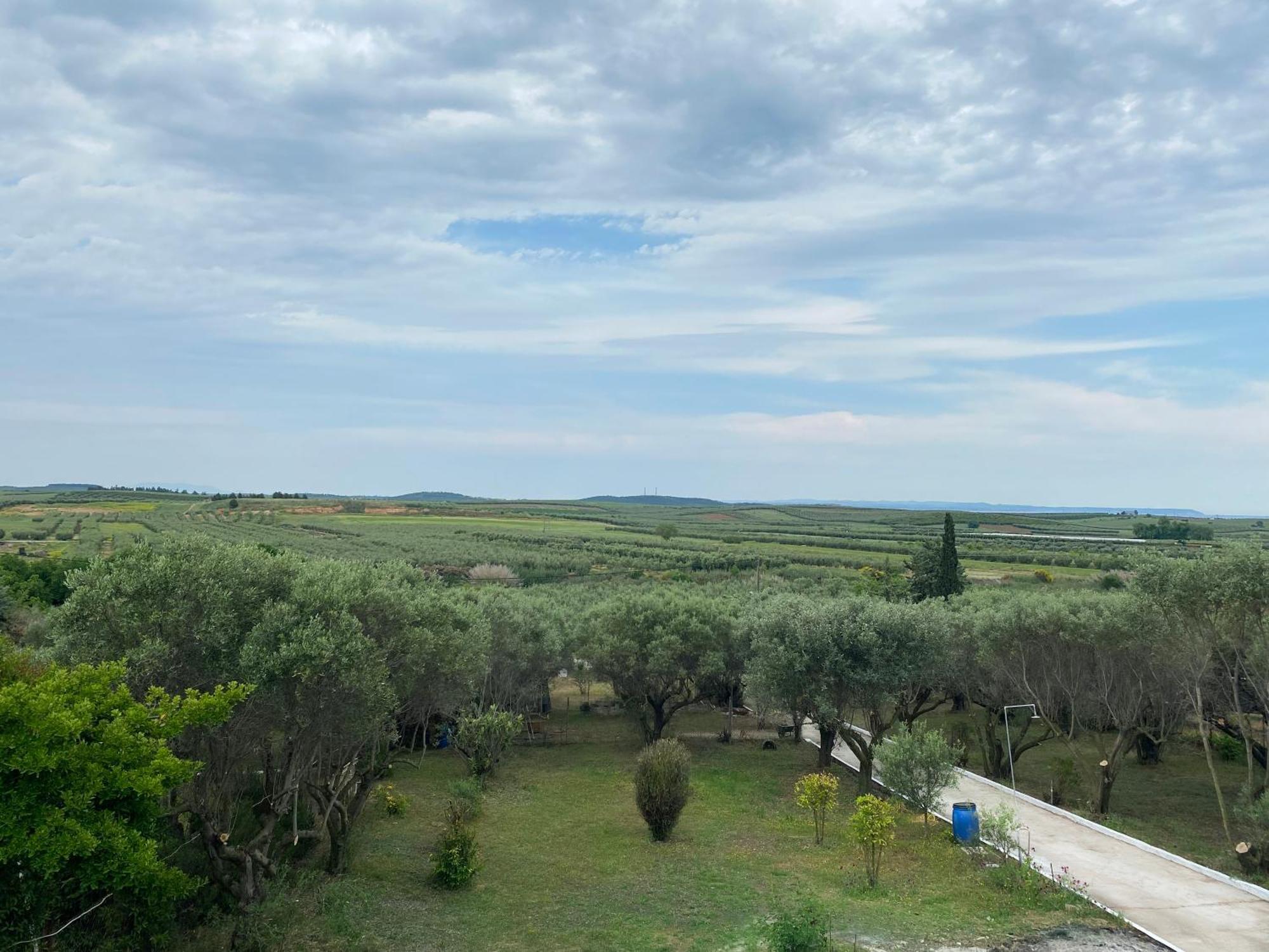 Mediterranean Escape Flogita Eksteriør billede