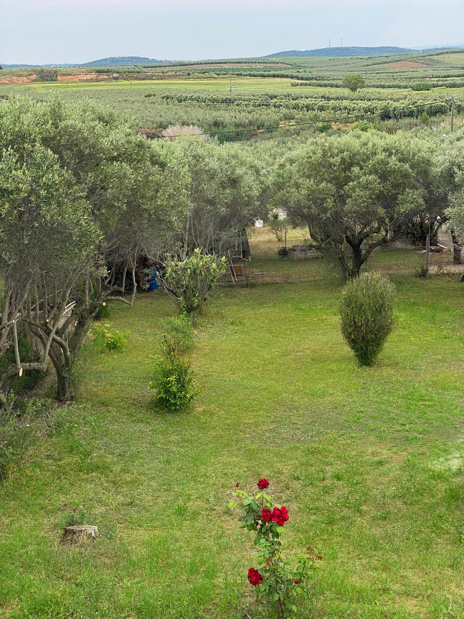 Mediterranean Escape Flogita Eksteriør billede